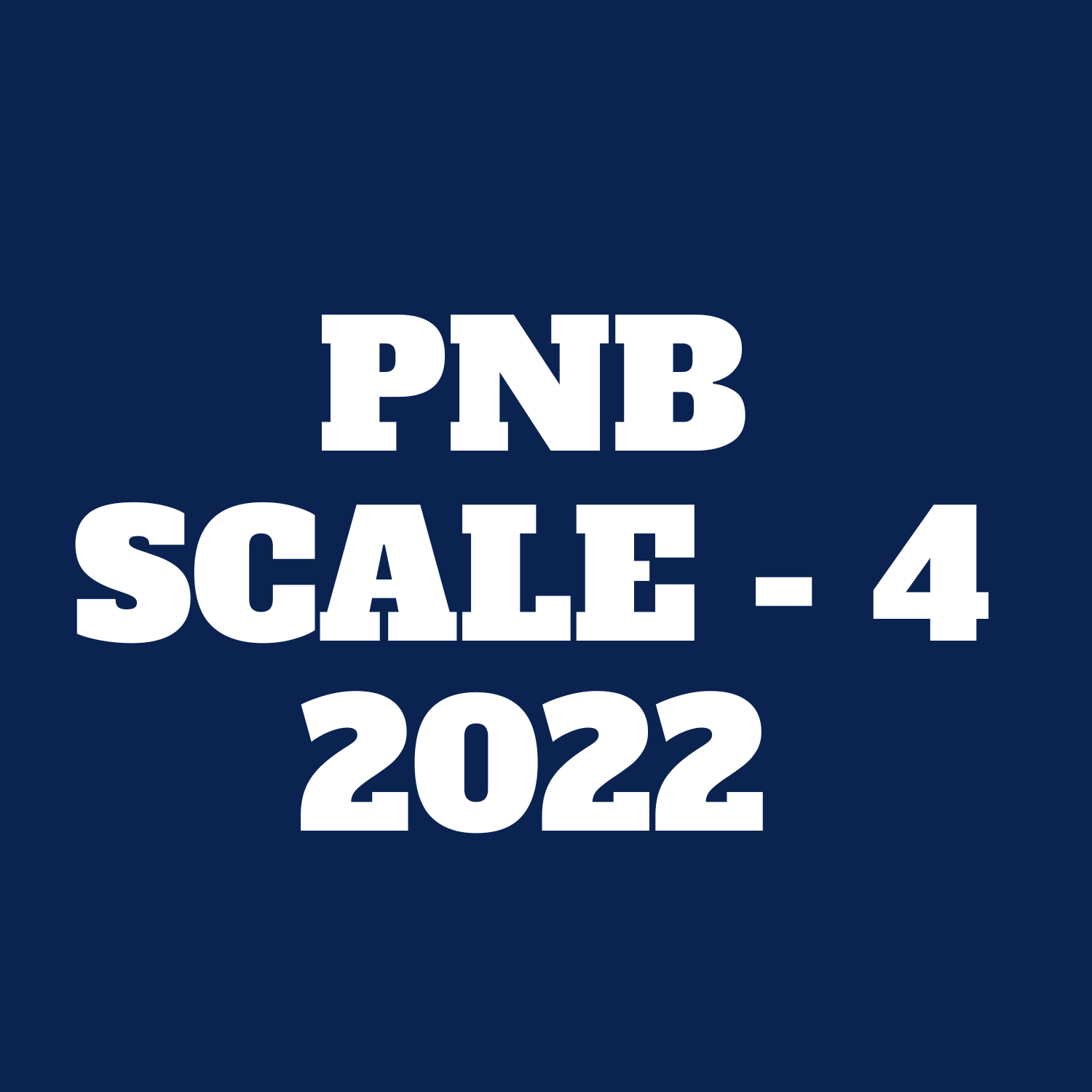 PNB Scale - 4 icon